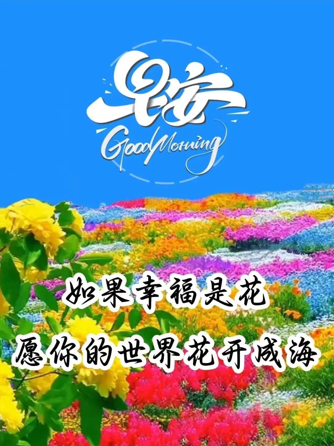 早上好祝福语图片精选,温馨漂亮的早安祝福语图片