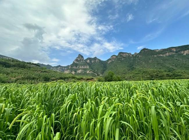 房山区河北镇河北村图片