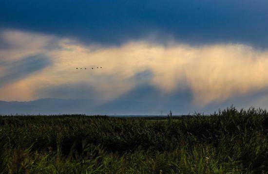 新疆那拉提国家湿地公园:湿地上空邂逅"醉"美晚霞