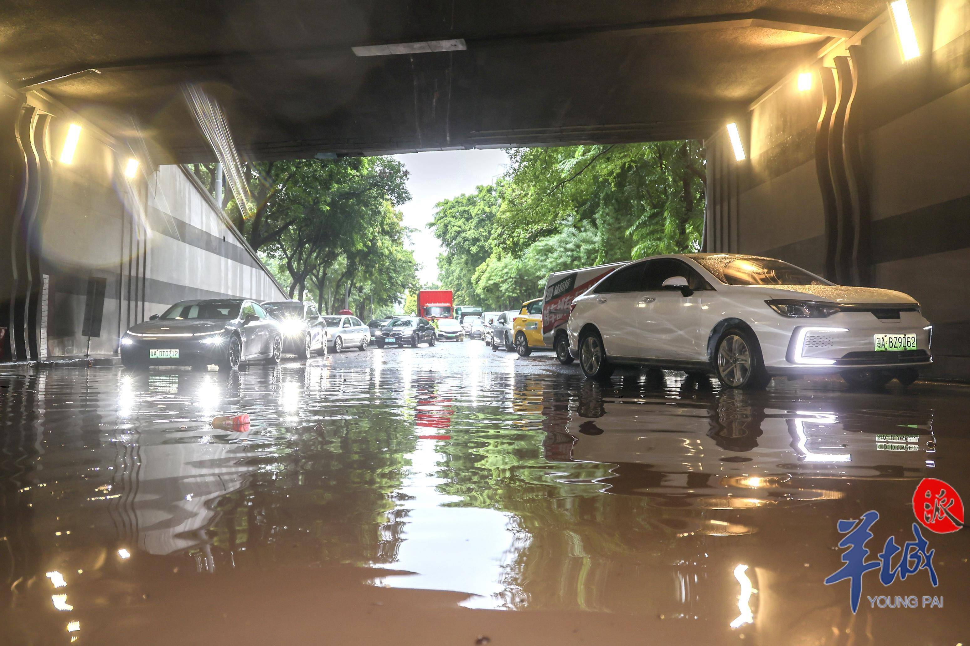 图集|大暴雨引发隧道积水严重,交警与相关部门紧急清理现场并恢复通行
