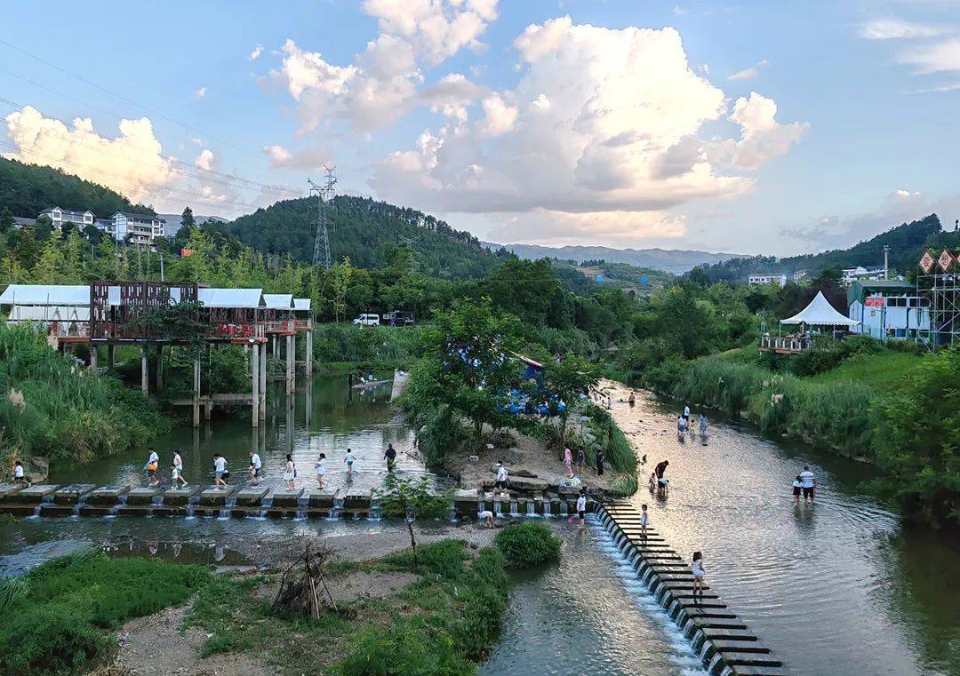 【全域森林康养】累计接待游客5万余人(次)!棕榈树露营基地值得去耍