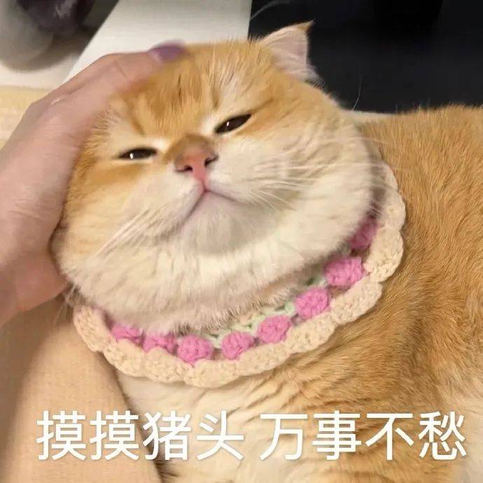 熊猫头沉默表情包图片