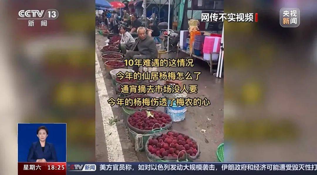 仙居杨梅滞销,果农哭泣?谣言!