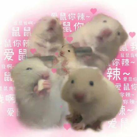 我想坐你大腿上|表情包