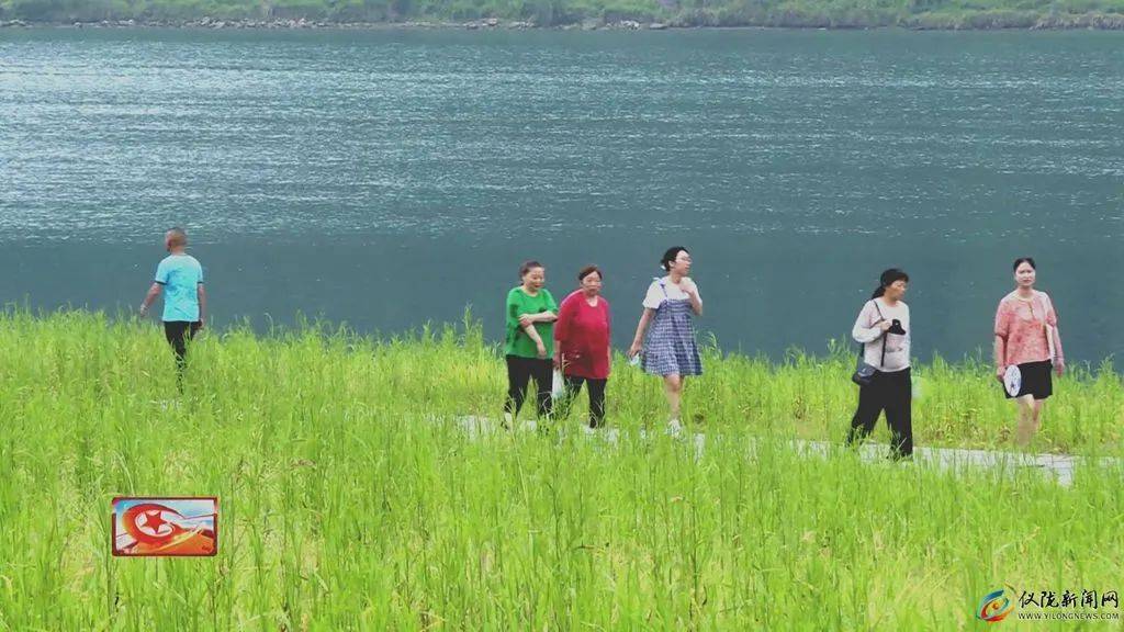 活力晨练 “动”出健康新姿态~