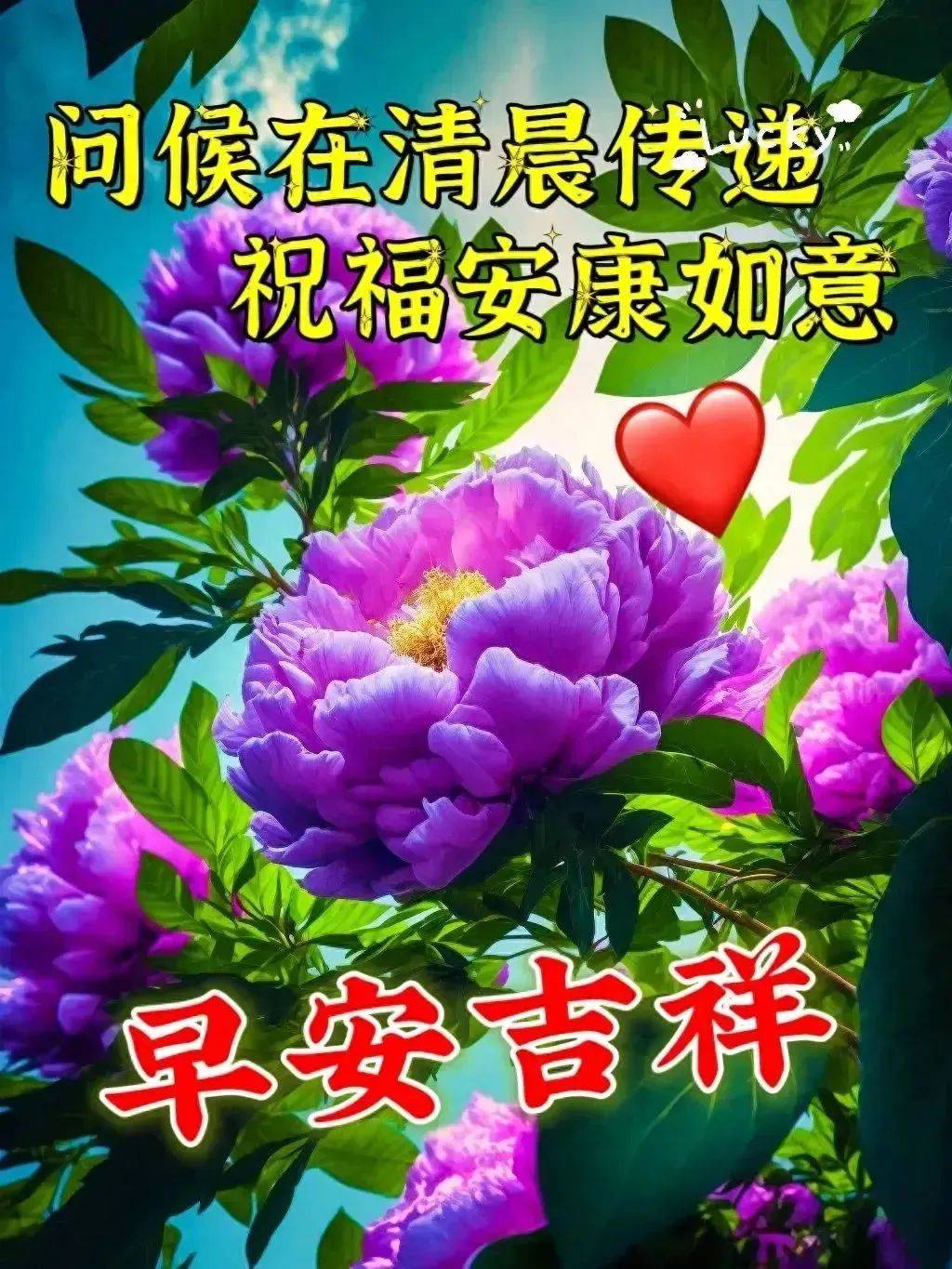 今日最新早上好问候语精选,相互牵挂的温馨,开心祝福的美好