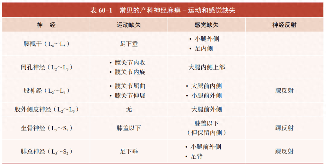 产科神经麻痹：常见病变及原因_临床_感觉_骨盆