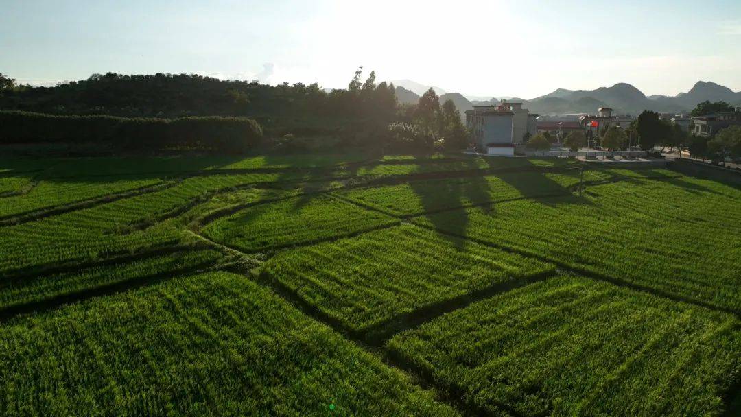 塘村镇英花村图片