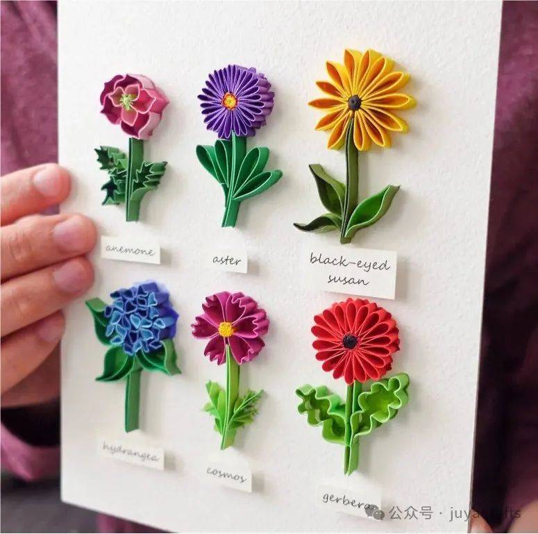 视频分享|6种花卉的线条做法