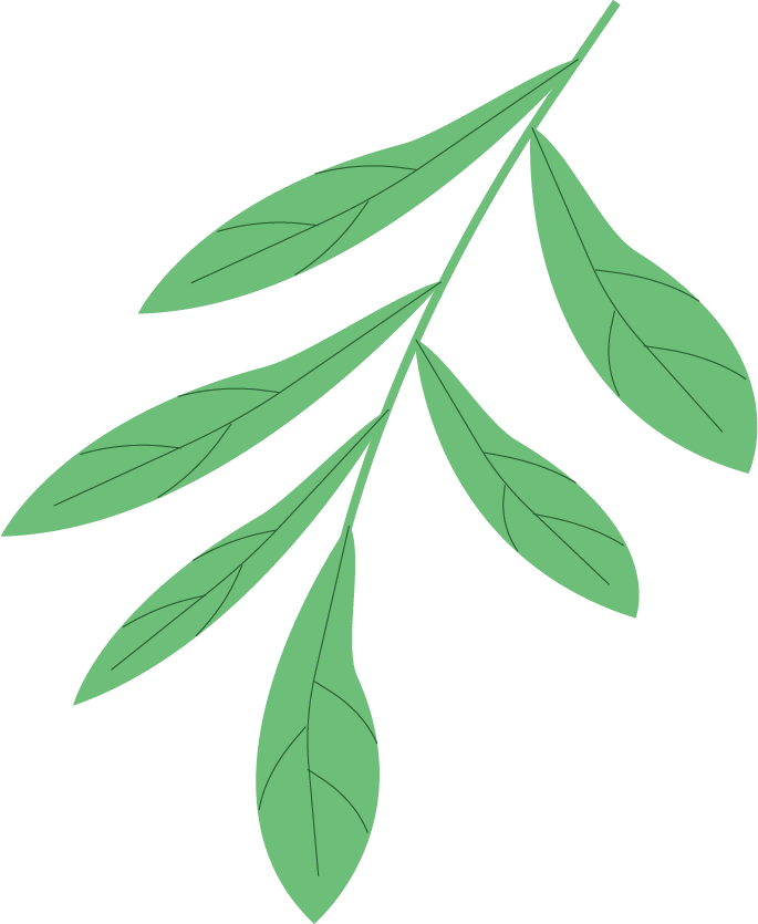 张浩然有3位肖宇轩有3位王宇轩有3位王一诺有3位王文博有3位王天宇有3