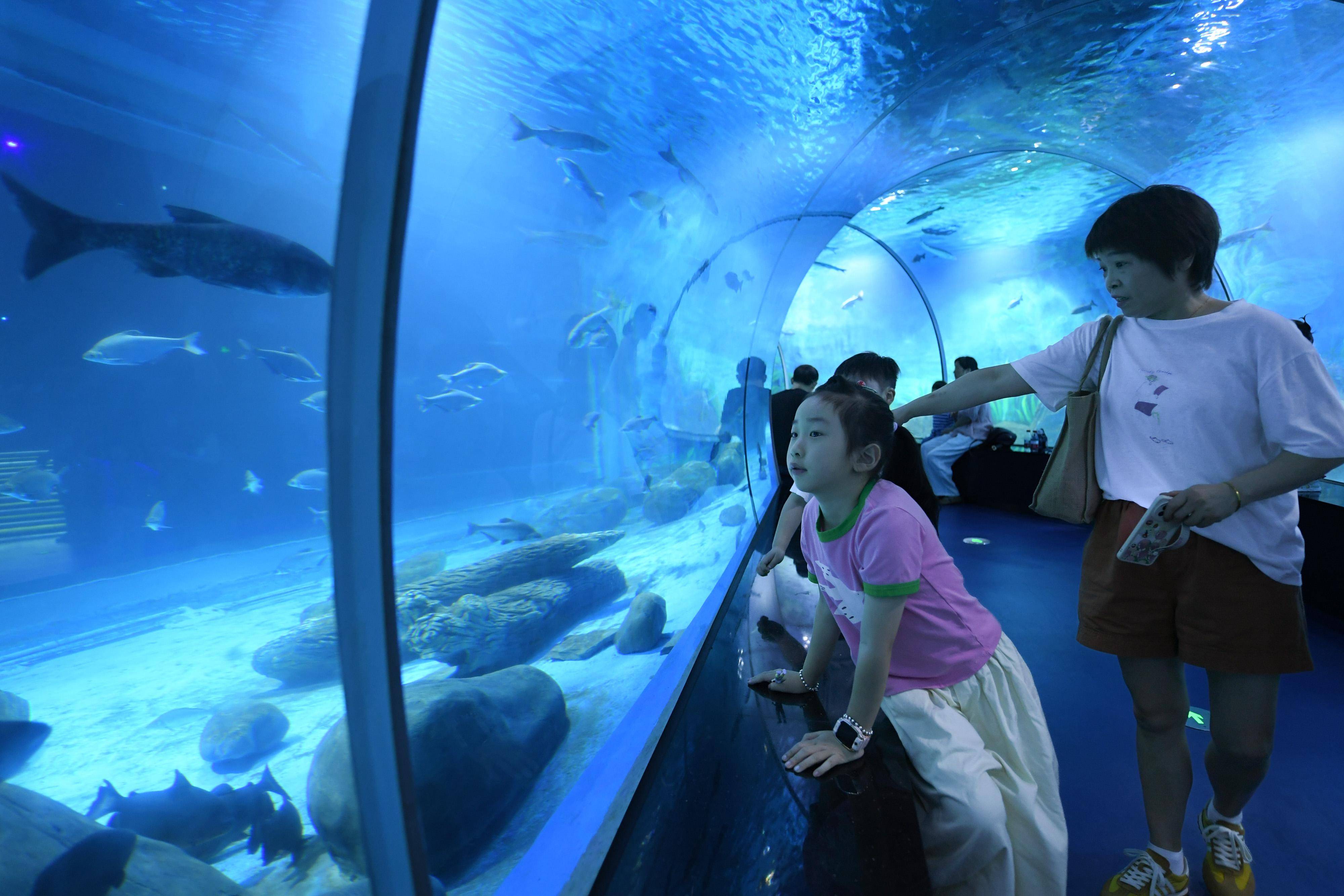 杭州海底世界水族馆图片