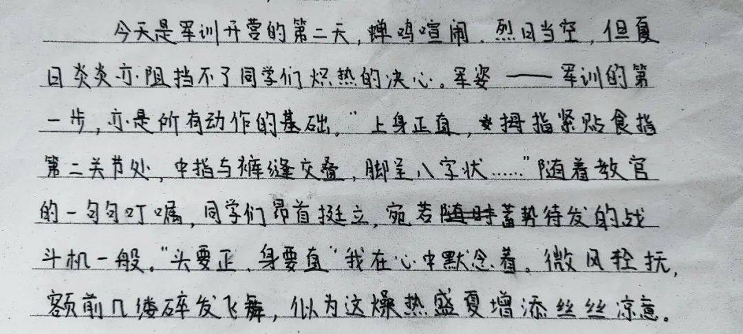 开学季 | 汗水铸就成长,欢笑点亮青春——青岛十九中军训日记分享(一)
