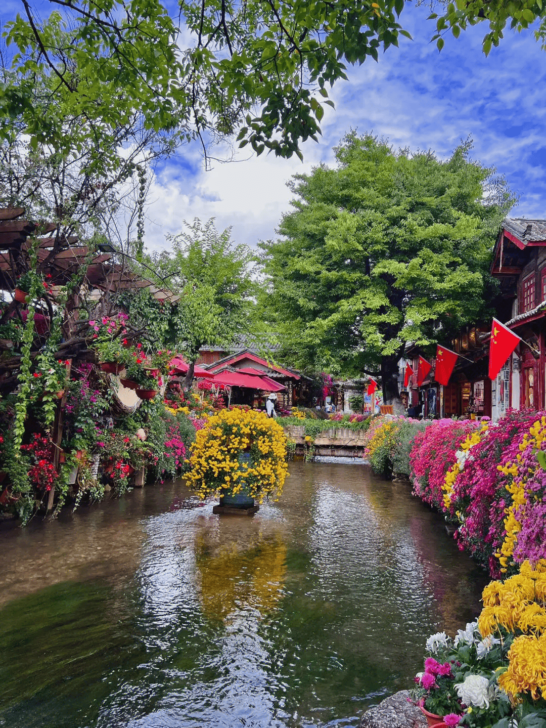 艳遇丽江&洱海