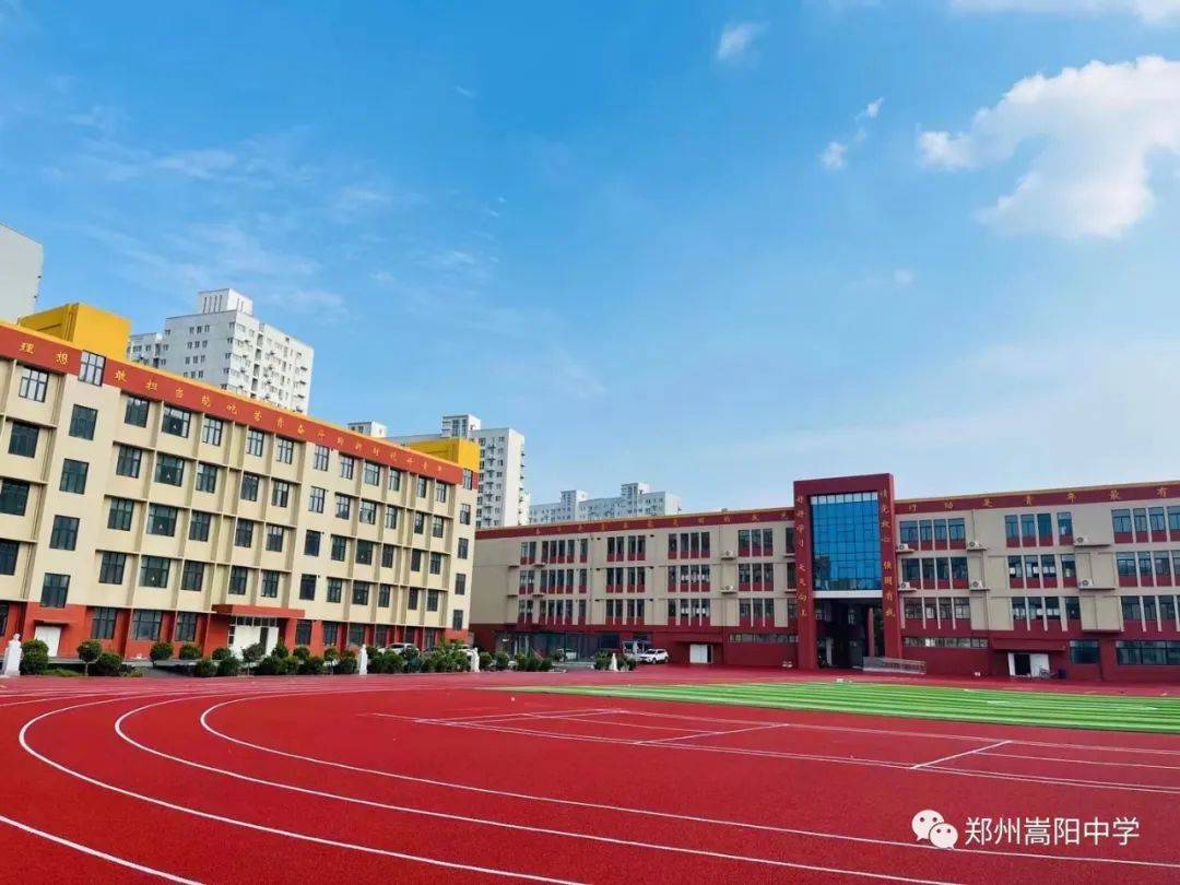 嵩阳小学图片