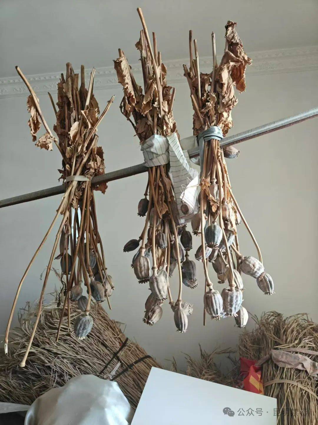 查获罂粟壳44颗!