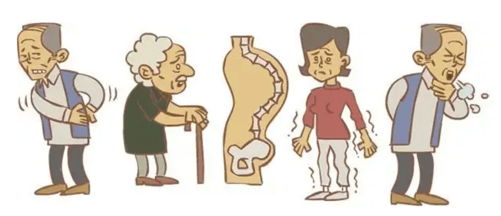 骨质疏松:潜伏在身边的健康隐患 丨贤医健康说