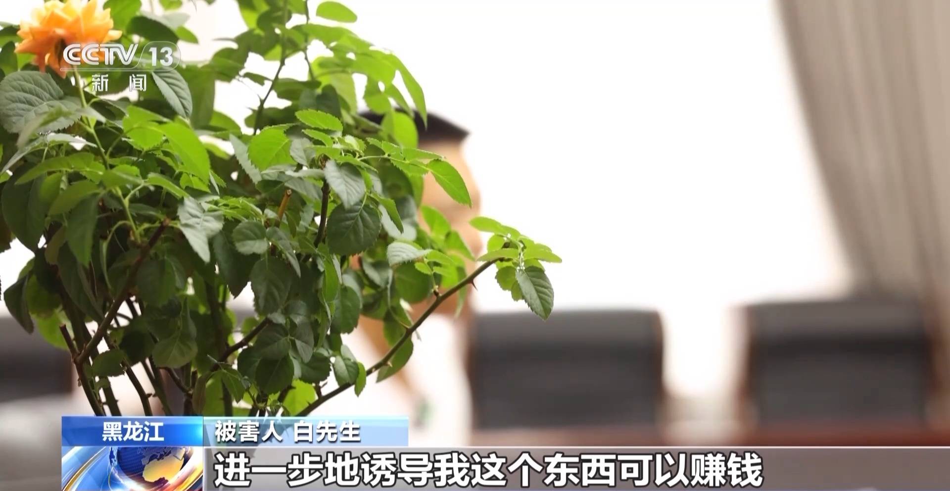 代刷抖音热门是真的吗_抖音代刷平台可以上热门吗_抖音刷热门软件有没有用