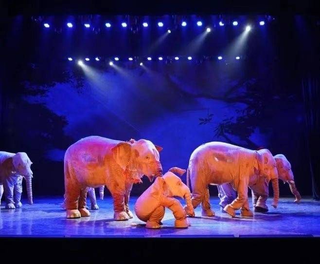 大象旅行团又出来“遛弯”啦，《象往版纳》透射生态文明理念