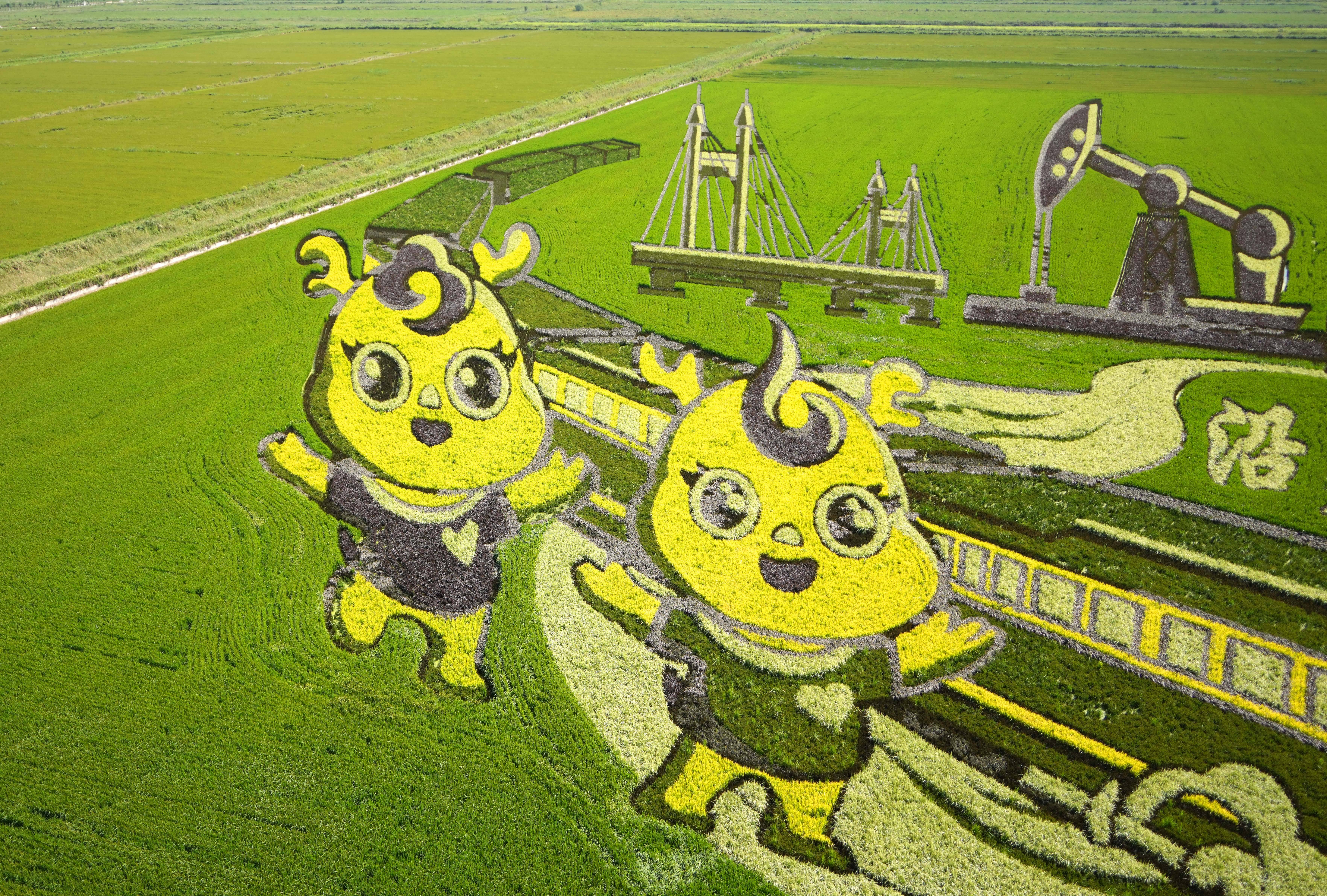 山东东营:稻田作画绘美景