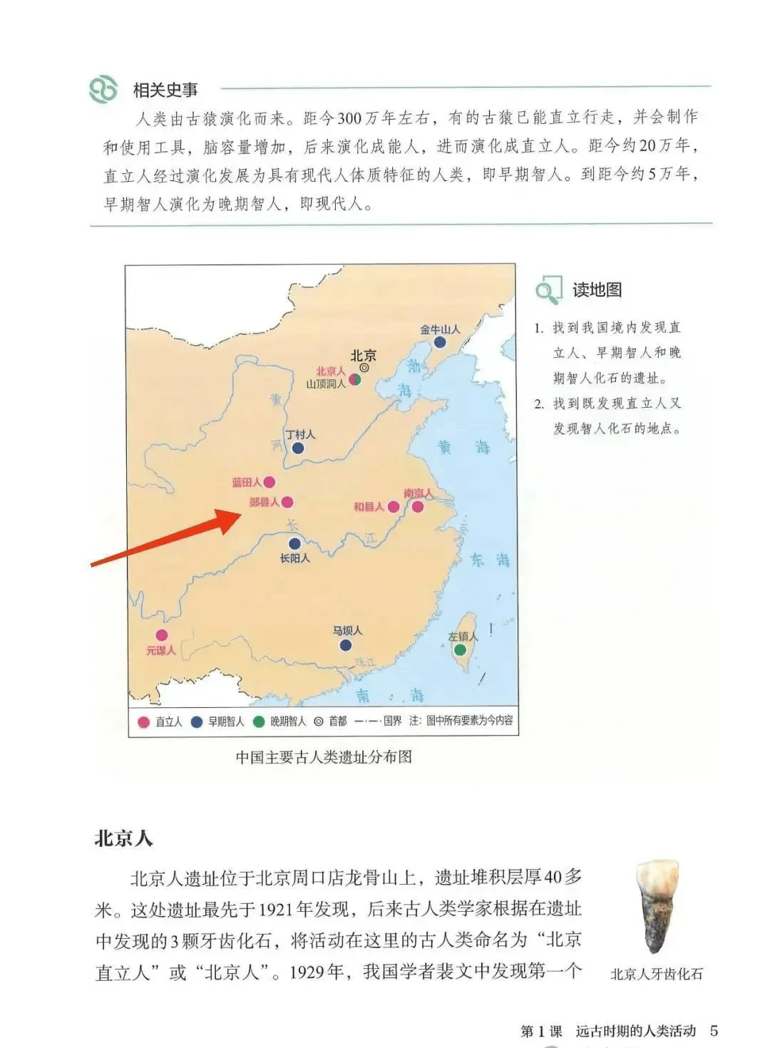 第一单元第一课!"郧县人"正式写入人教版历史教科书!