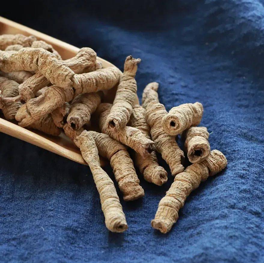 专家来支招丨漳州药材 南方人参