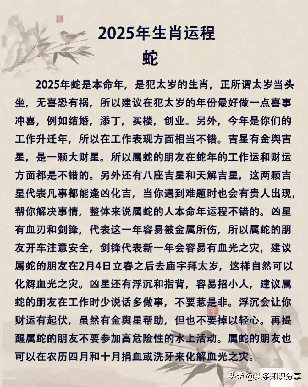 2025生肖运势5月12(2025年十二生肖运程)