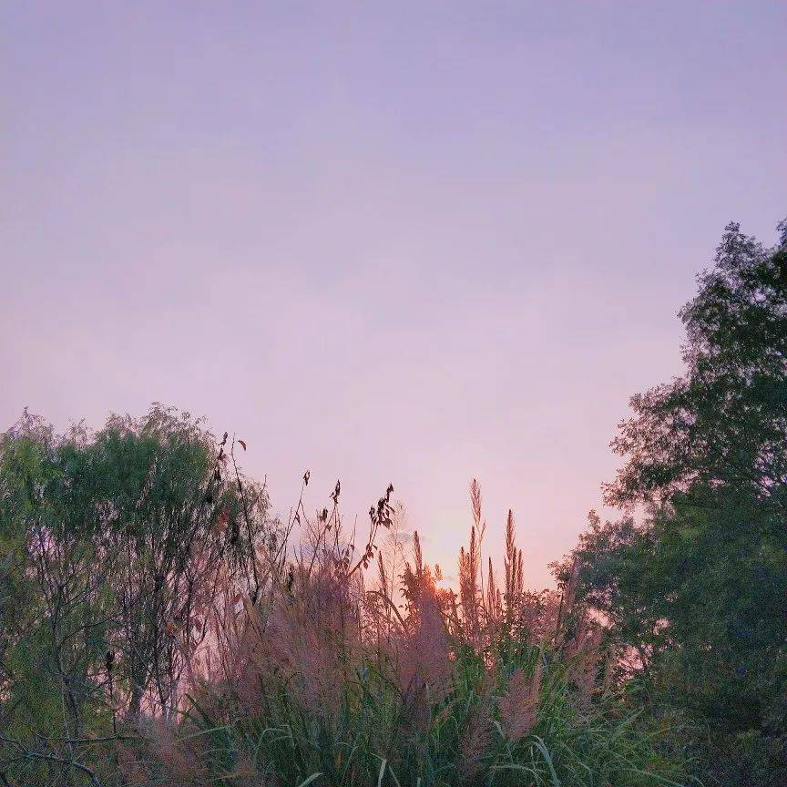 【什么时候入秋】_节气_季节_时间