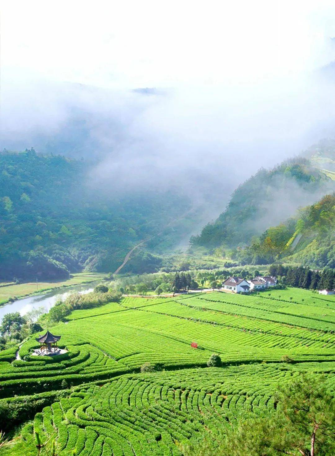 铅山县河口镇(河口古镇)是"万里茶道第一镇",也是河红茶的诞生地