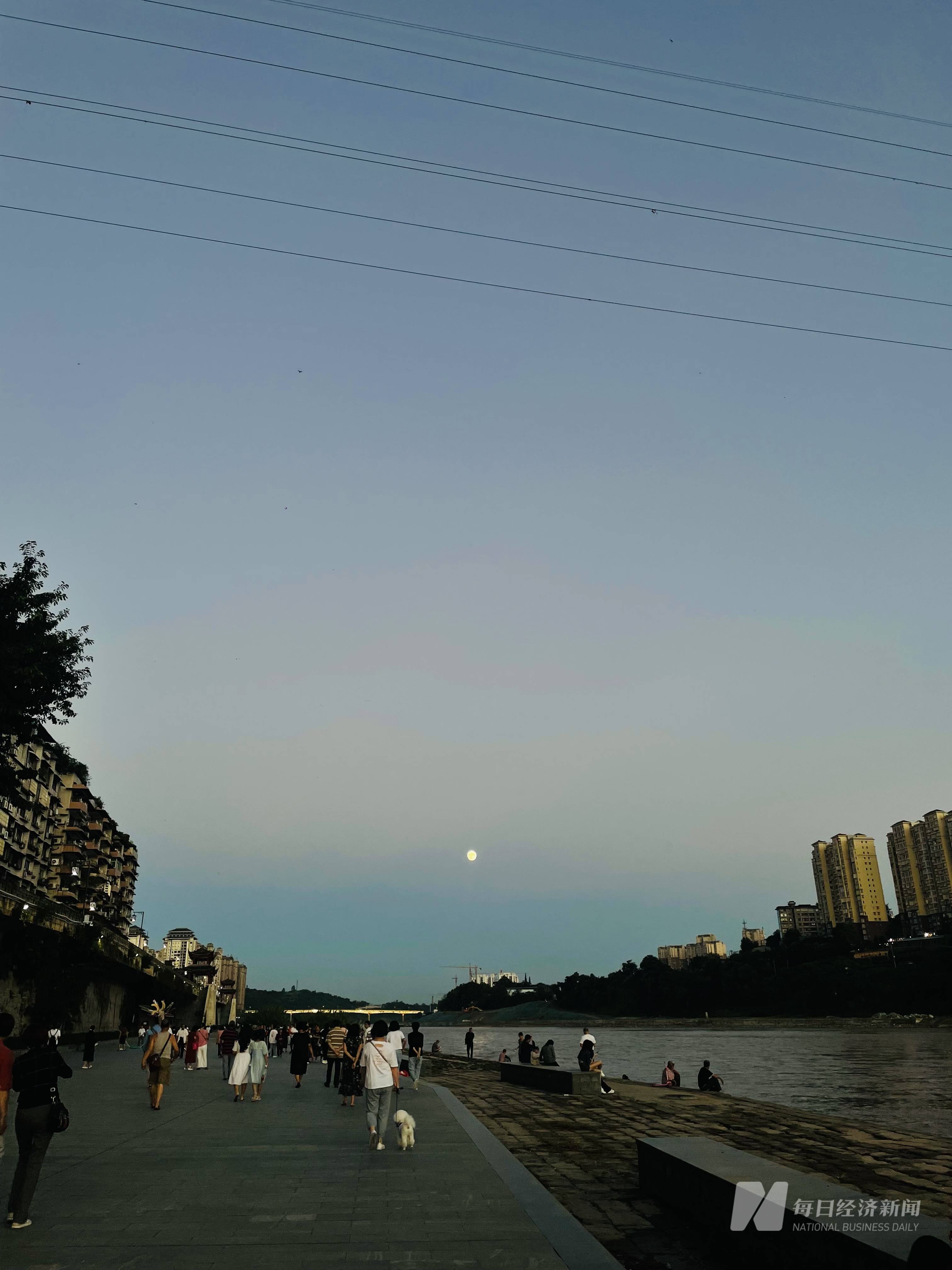 刀郎复出中年刀迷疯狂追星网友刀郎的歌原来这么好听