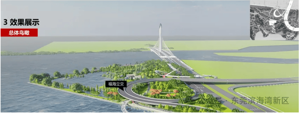 擅自填埋东莞市滨海湾新区苗涌自然湿地,福建一企业被罚321万元_林地_