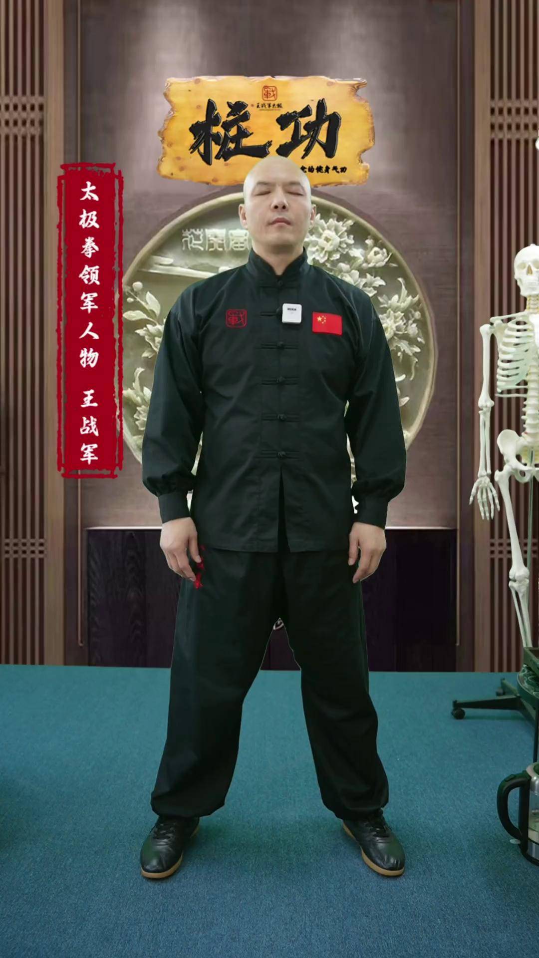 带你感受真正的太极散手发力太极拳 武术 内家拳 48散手 王战军