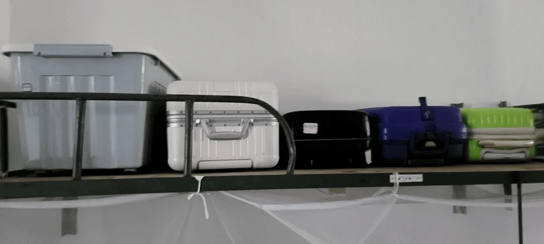 新洲一中,燃爆了!