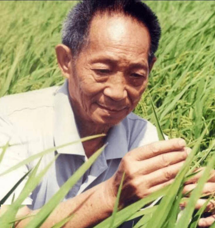 奉献一生只因摸豪车就被网暴,拯救14亿人的袁隆平却拯救不了自己