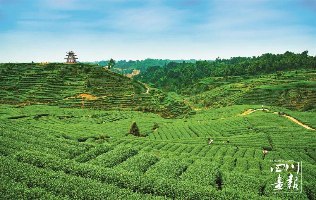 四川盆地真实图片