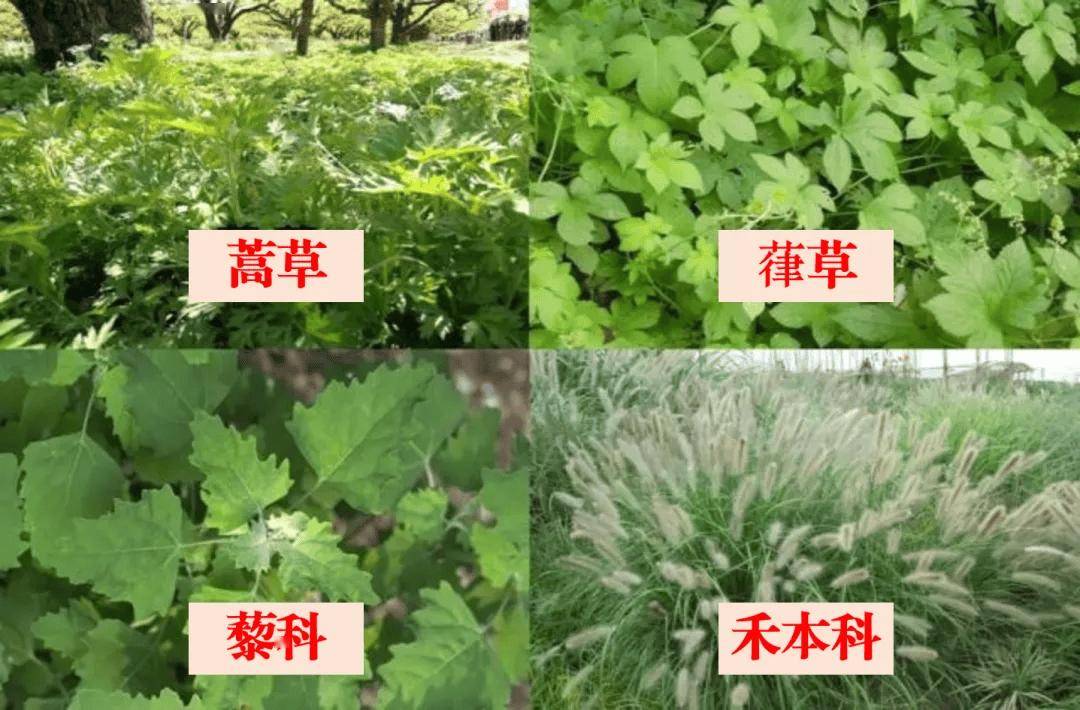 大家注意！天津已進入高峰期！戴口罩！戴口罩！戴口罩！