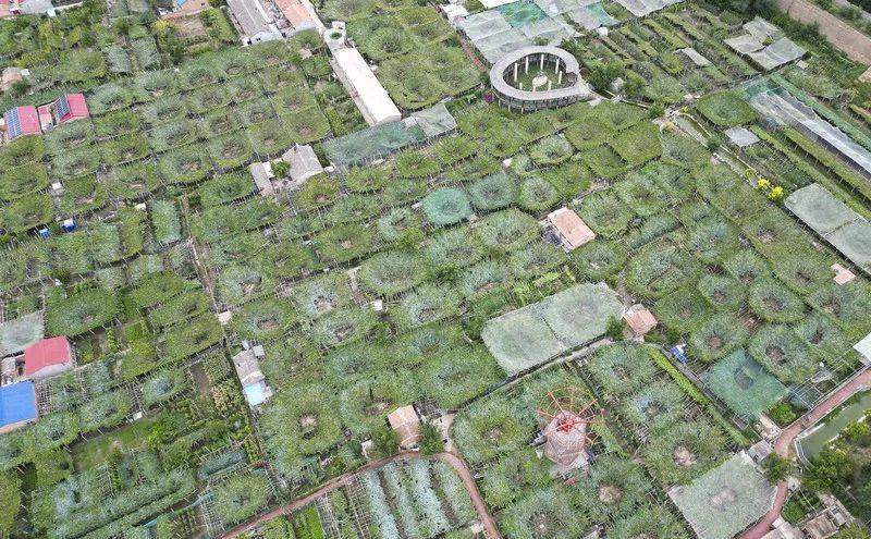 首都两区建设全媒体采访行