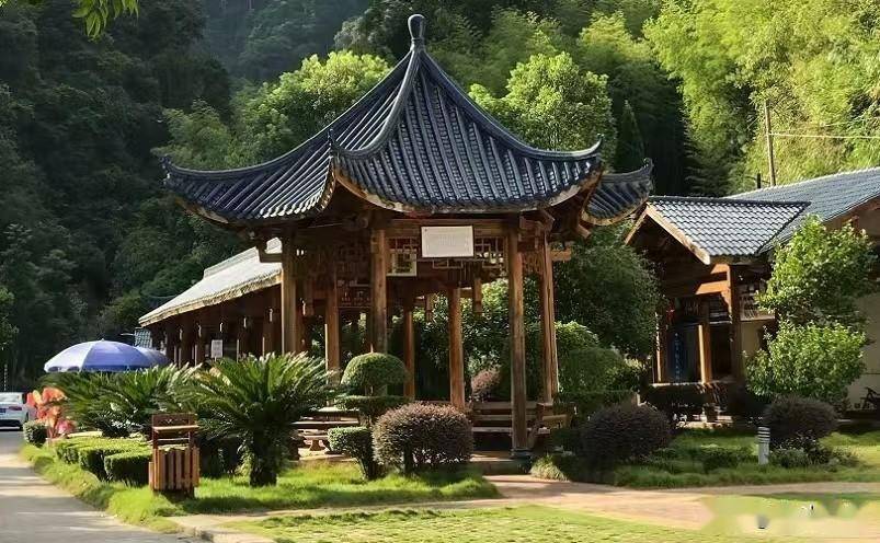 武夷山景点推荐_南平教育网_南平十大必玩景点