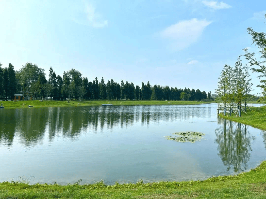 菩萨岗湿地图片