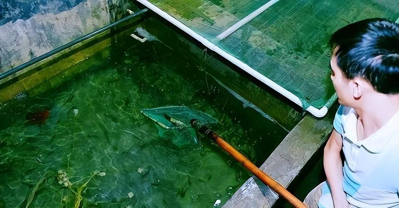 虽然当地政府也为鱼泉的规模感到震惊,但从政策上来讲,地下河不现在不