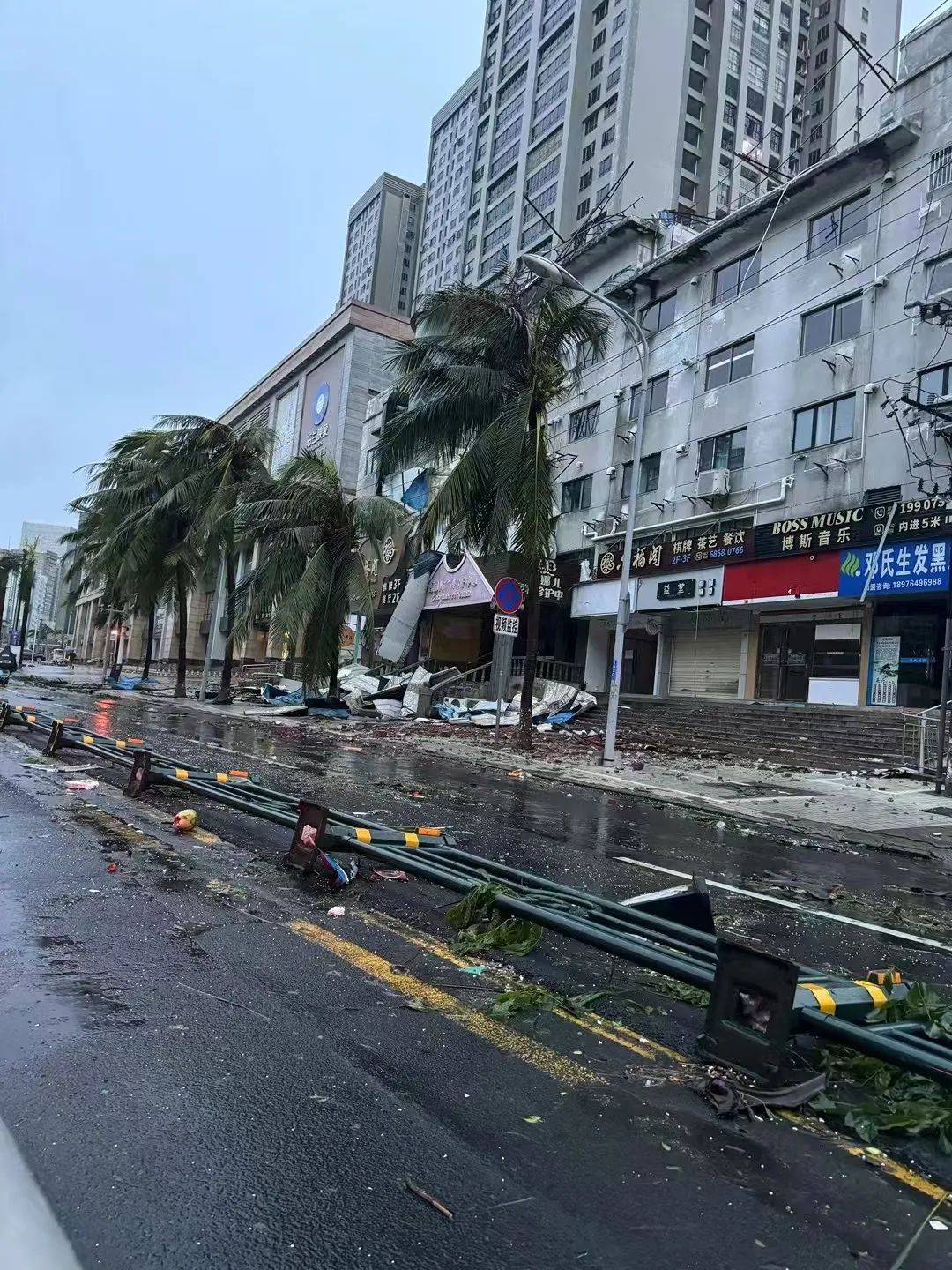 海口民声东路央广网记者 付美斌 摄被大风吹折断的椰子树和倒伏的