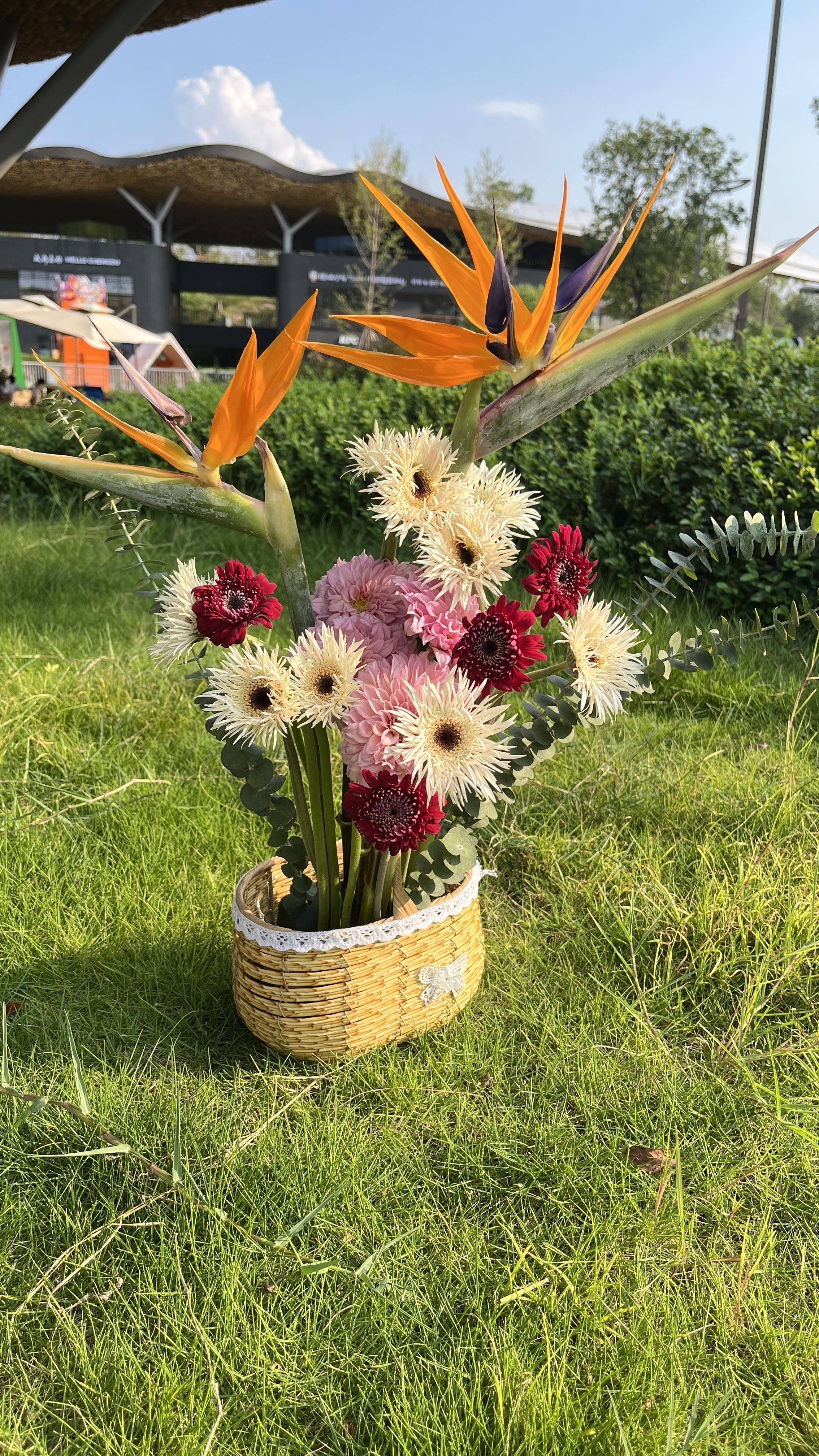 一盆花一份情 "师恩如山 绿意传情"公益活动举行