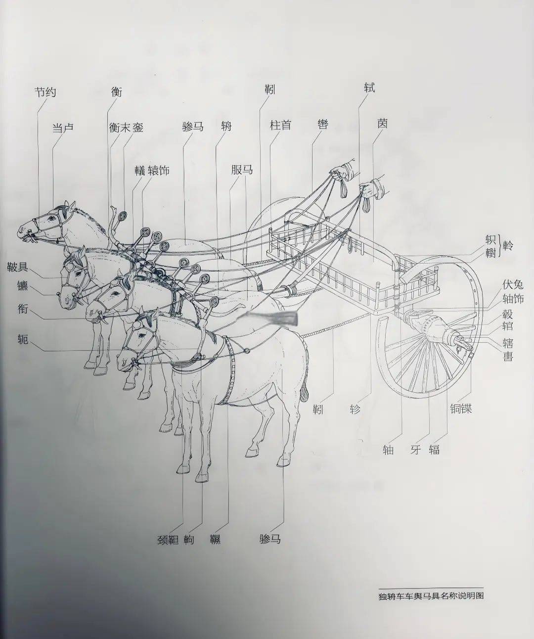 古代马具传送限制图片