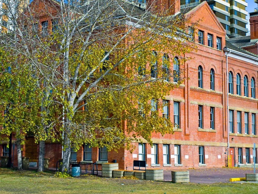 疑难复杂的手术之一)的曾宪九;还有泌尿科专家吴阶平,儿科专家诸福堂