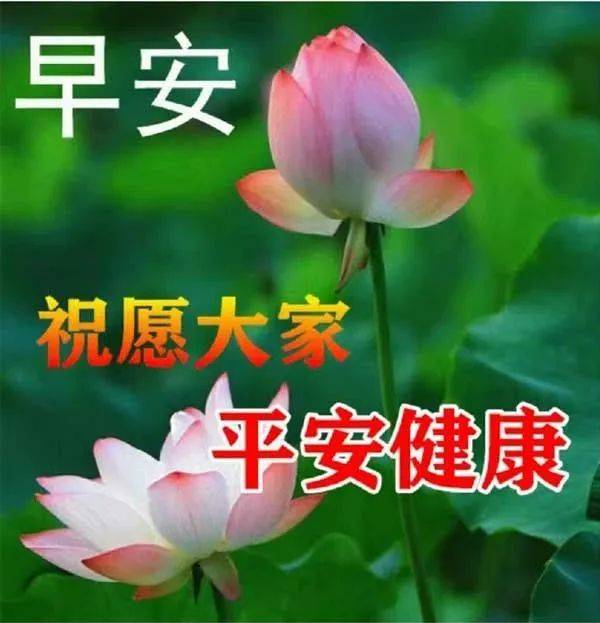 4张平安健康早安祝福图片精选