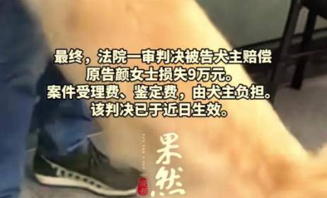 未牵绳金毛犬扑向孕妇致其流产,犬主：大肚子还往外跑