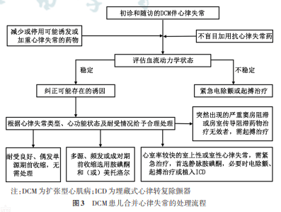 【标准·方案·指南】儿童扩张型心肌病诊断与治疗专家共识（2024）(图7)