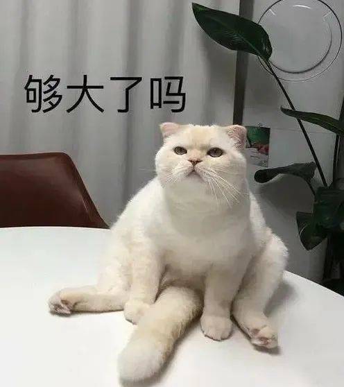 bt涩涩犯贱表情包 宝,想你了!