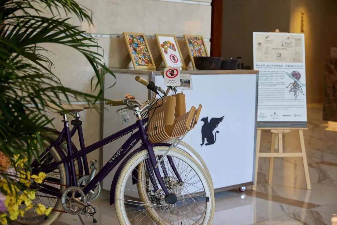 JW万豪酒店呈现可持续发展体验,诚邀宾客开启绿色焕活之旅_搜狐网