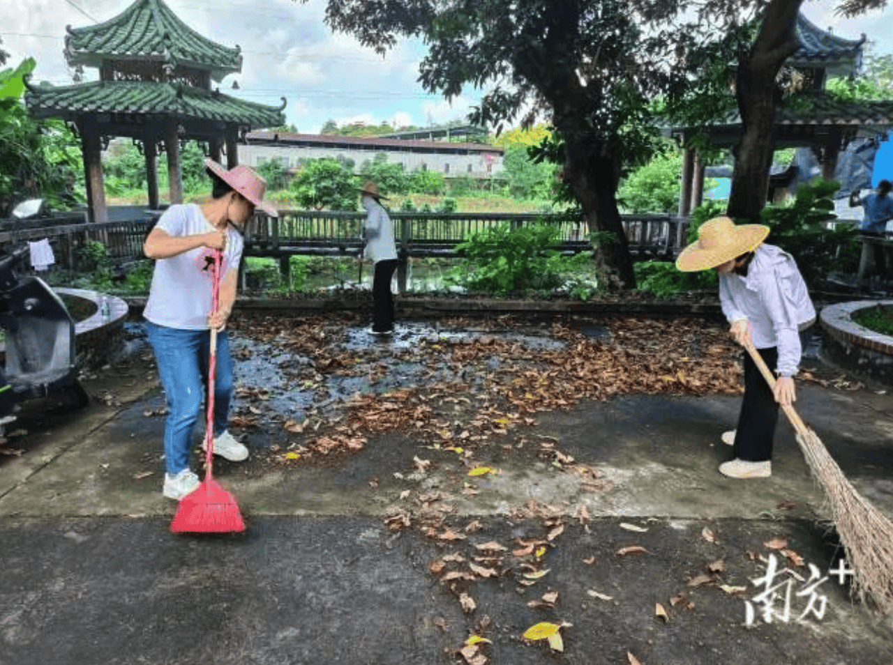 "逢8出发",推进农村人居环境整治,清城横荷在行动!_于乡村_服务_志愿