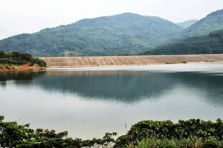 中国建的亚洲最大沙漠水库,却屡遭美专家质疑,如今成效令人吃惊